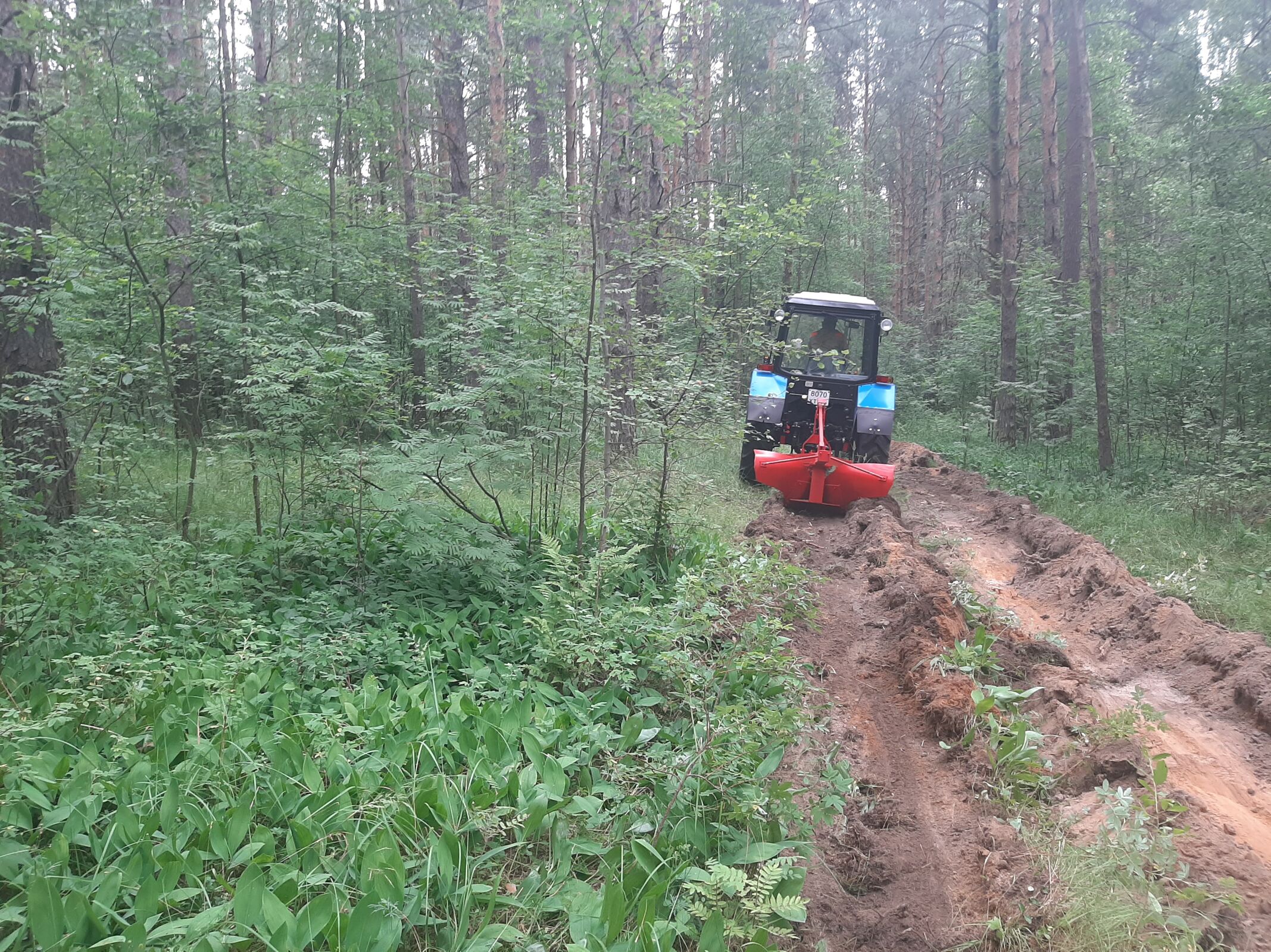 Более 860 км минерализованных полос создадут в регионе для защиты леса от пожаров
