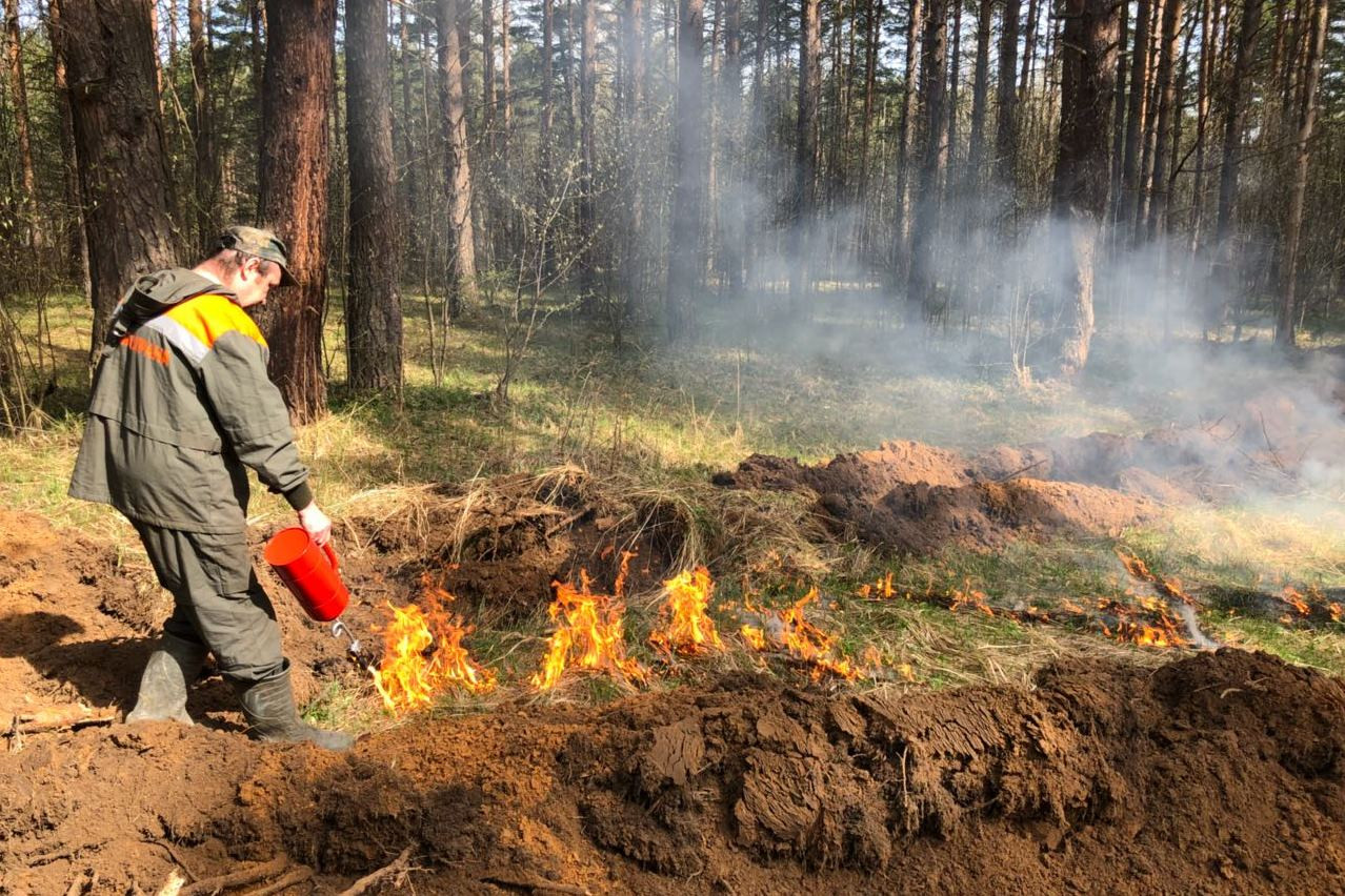 Сводный план тушения лесных пожаров утвердил Михаил Евраев