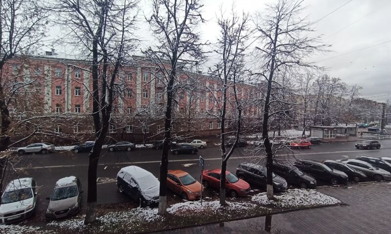 До -6: МЧС предупреждает о заморозках в Ярославской области