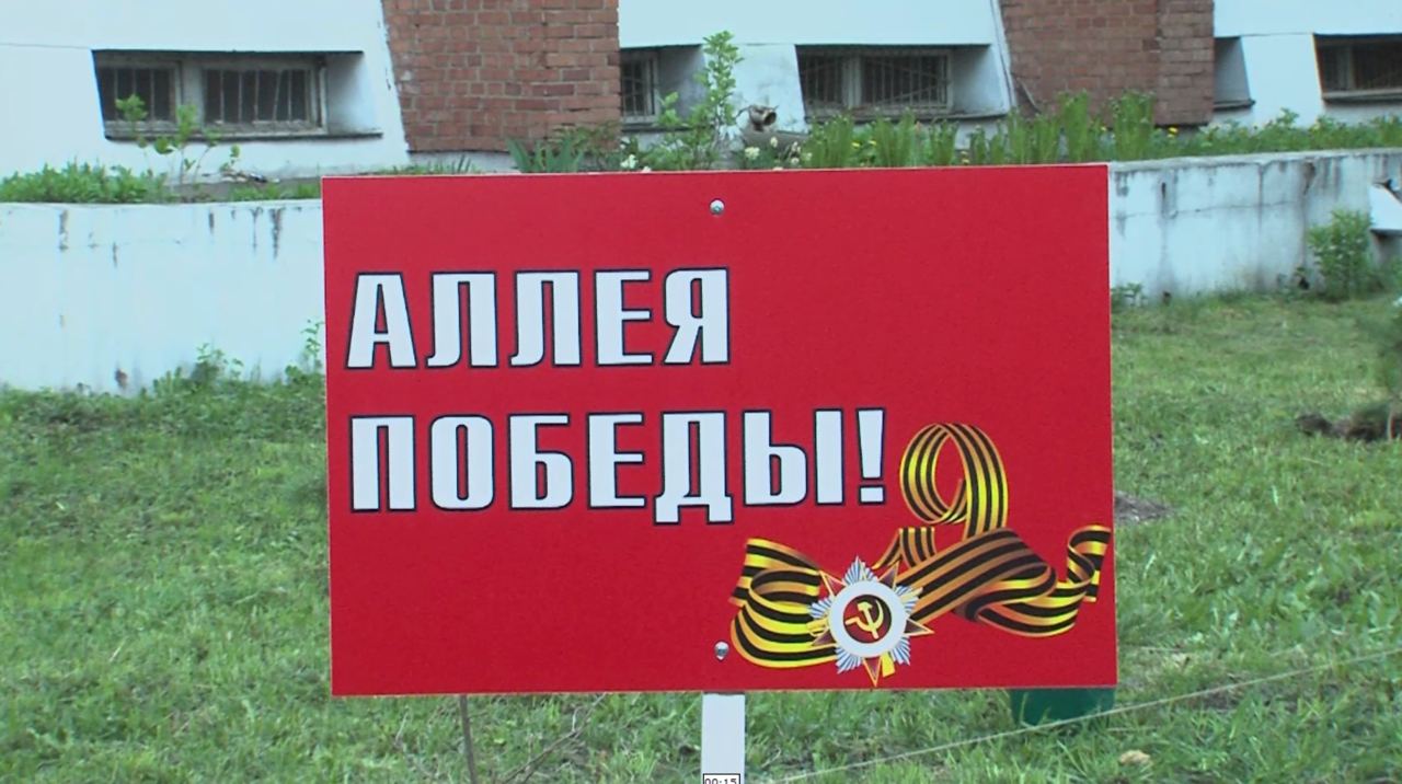 В Ярославле «Аллея Победы» появилась и у детского отделения Центральной городской больницы