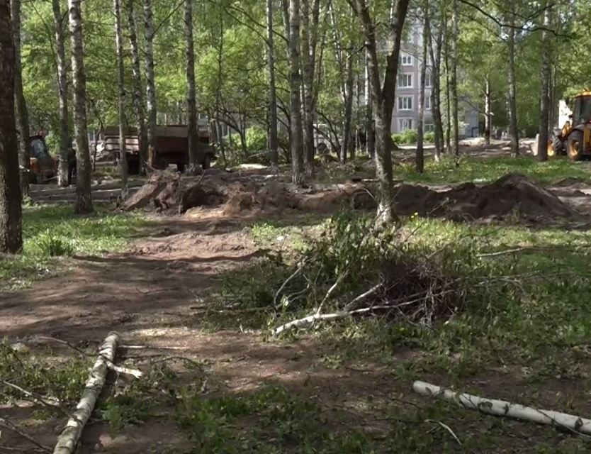 В Заволжском районе решили избавиться от деревьев