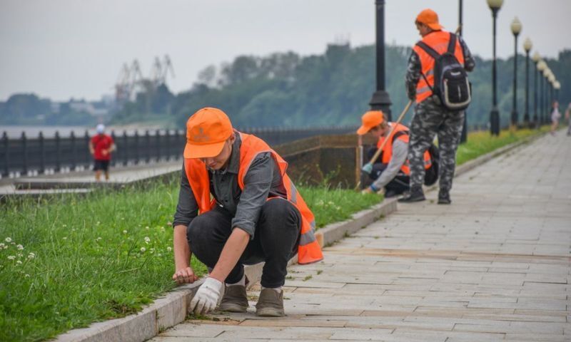 Ярославцам рассказали о трудовых гарантиях для работающих подростков
