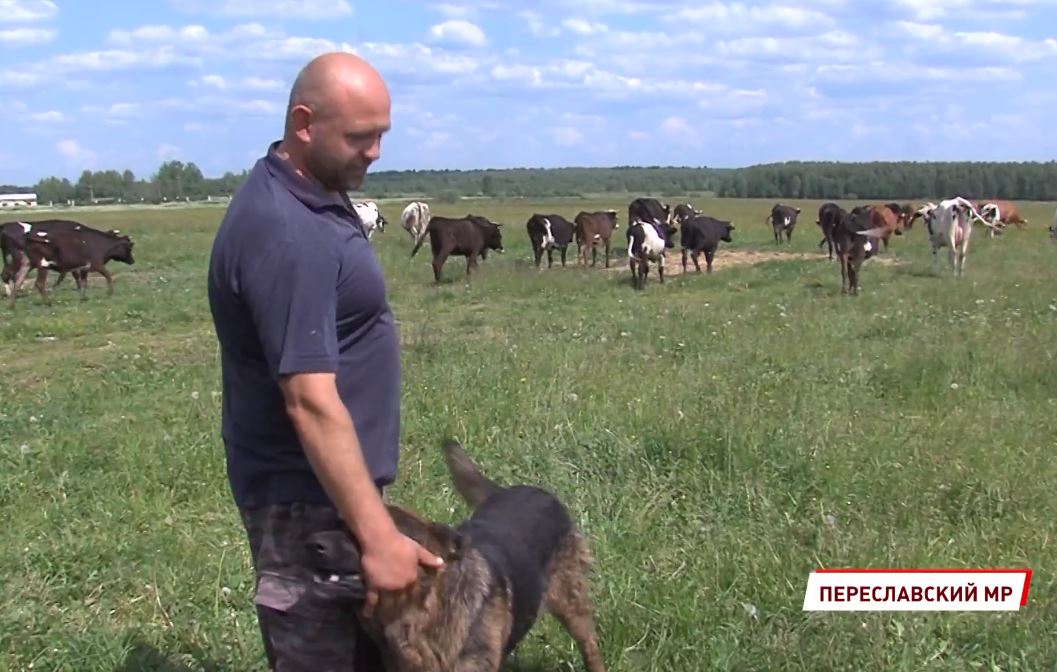 Семья из Москвы переехала в Переславский район, чтобы открыть свою ферму