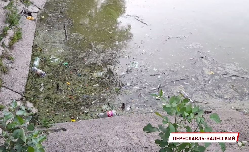 Жители Переславля жалуются на обмелевшие и загрязненные пруды на улице Строителей