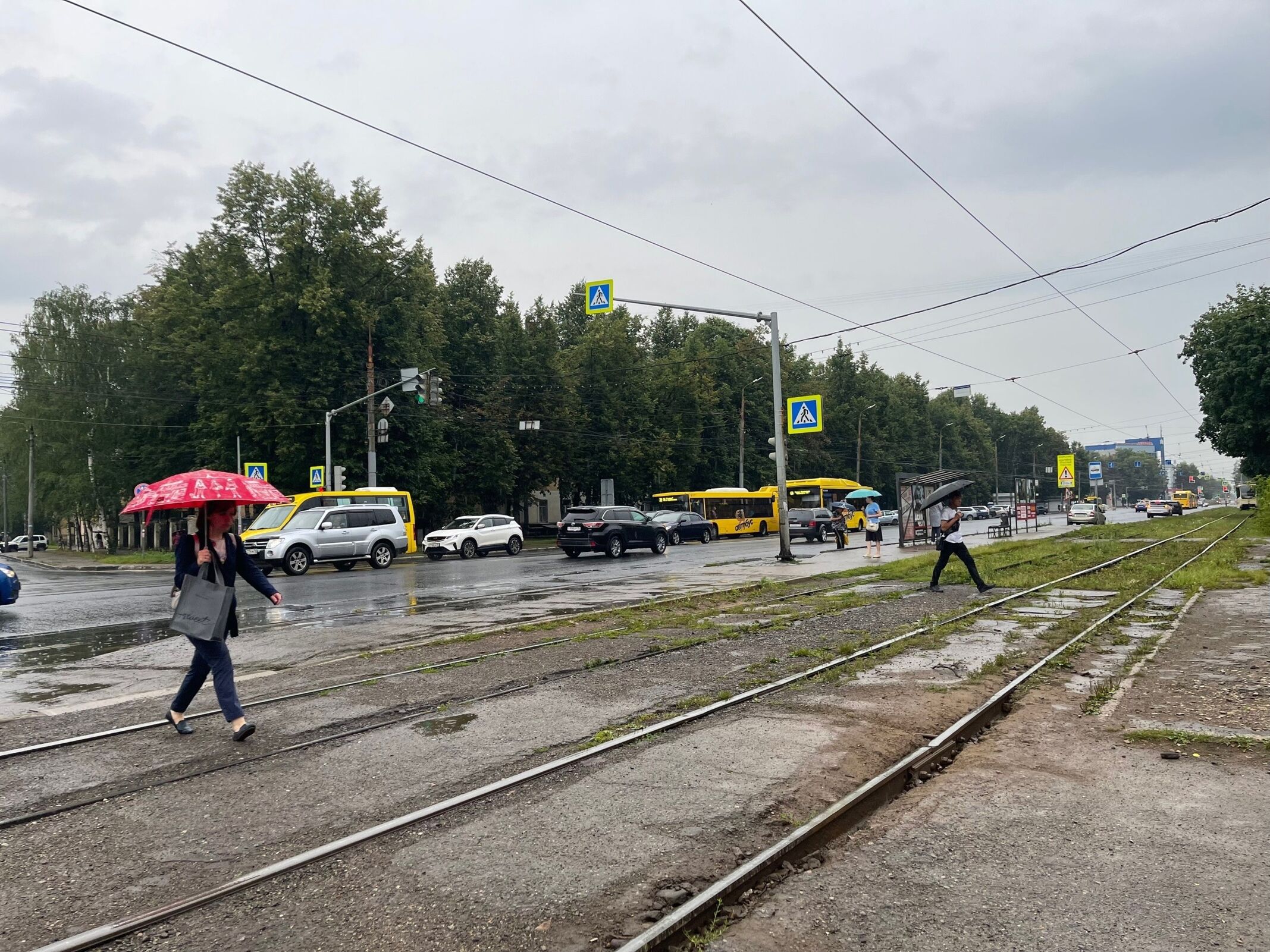 МЧС предупреждает о грозе и сильном ветре вечером в Ярославле
