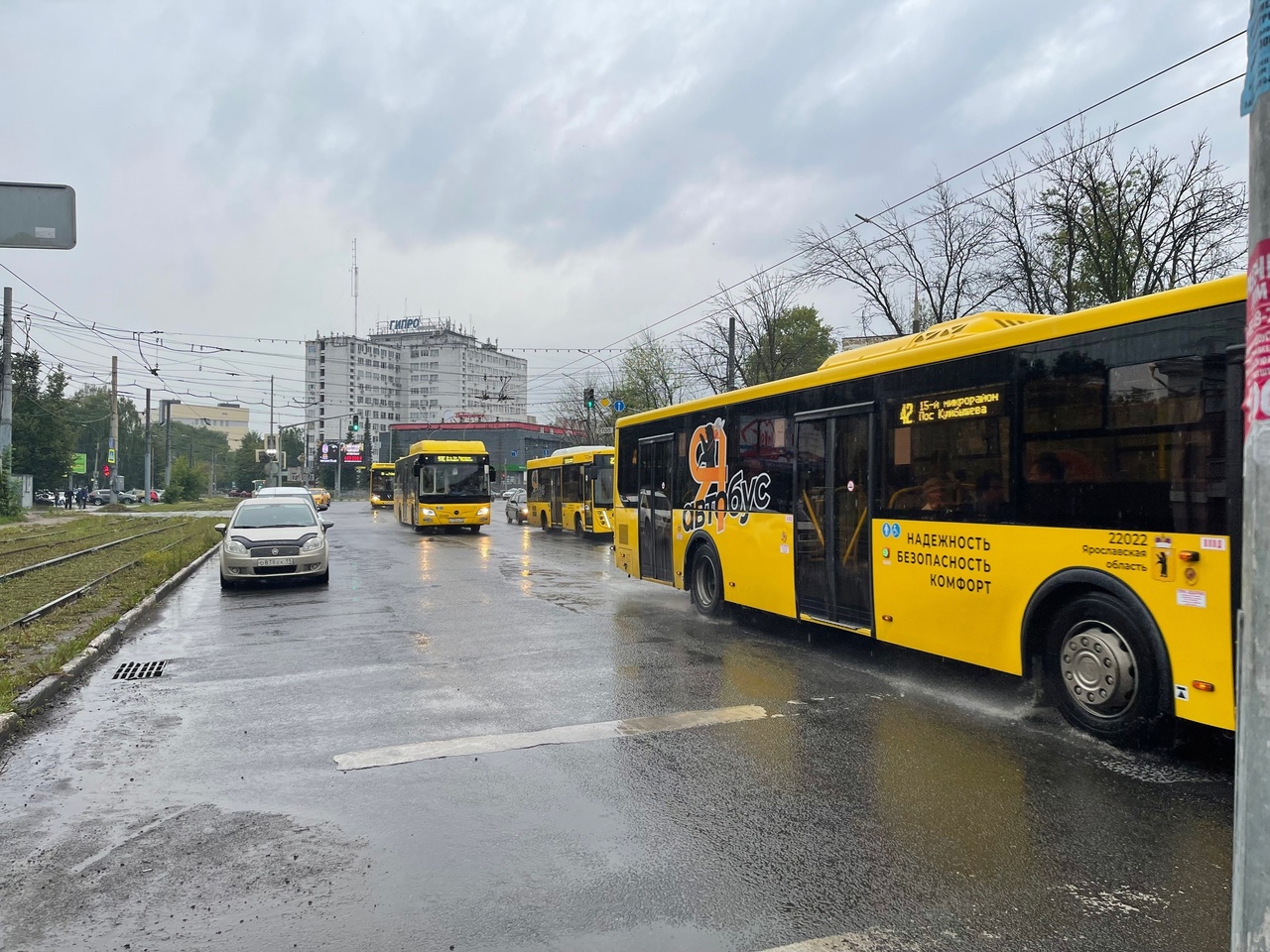 В Ярославле планируют крупную закупку электробусов