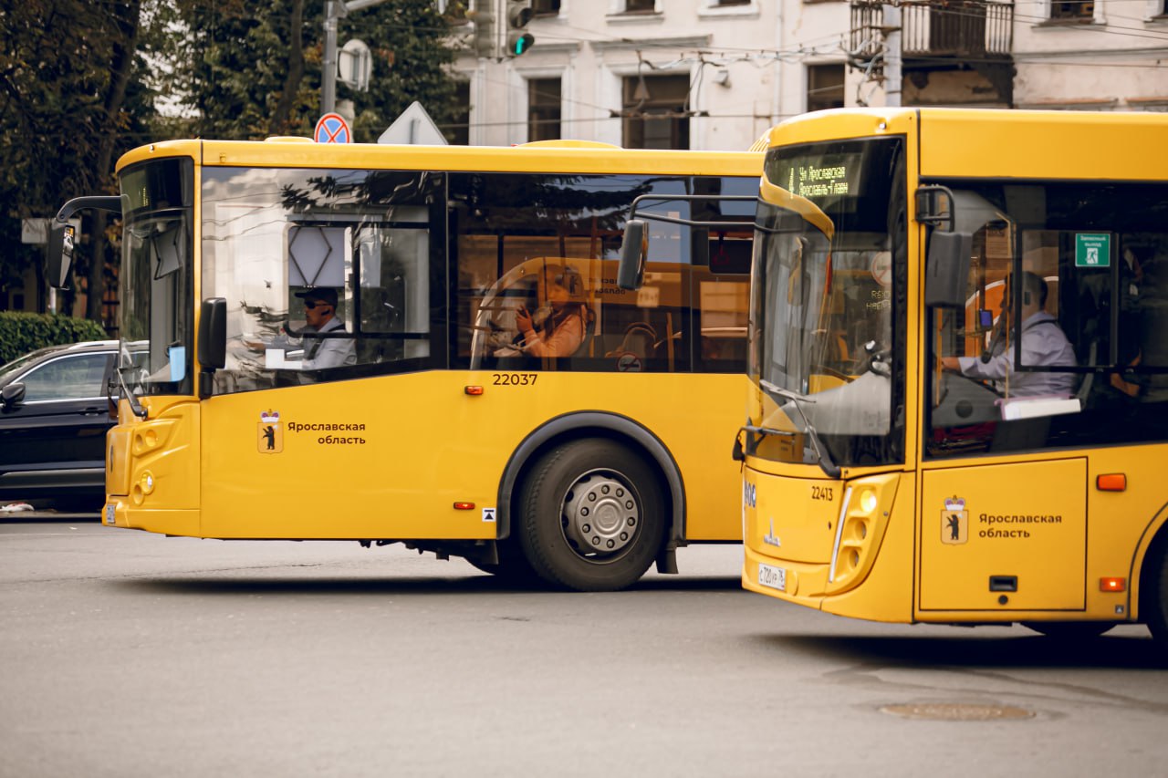 В День знаний в Ярославской области работают 587 автобусов