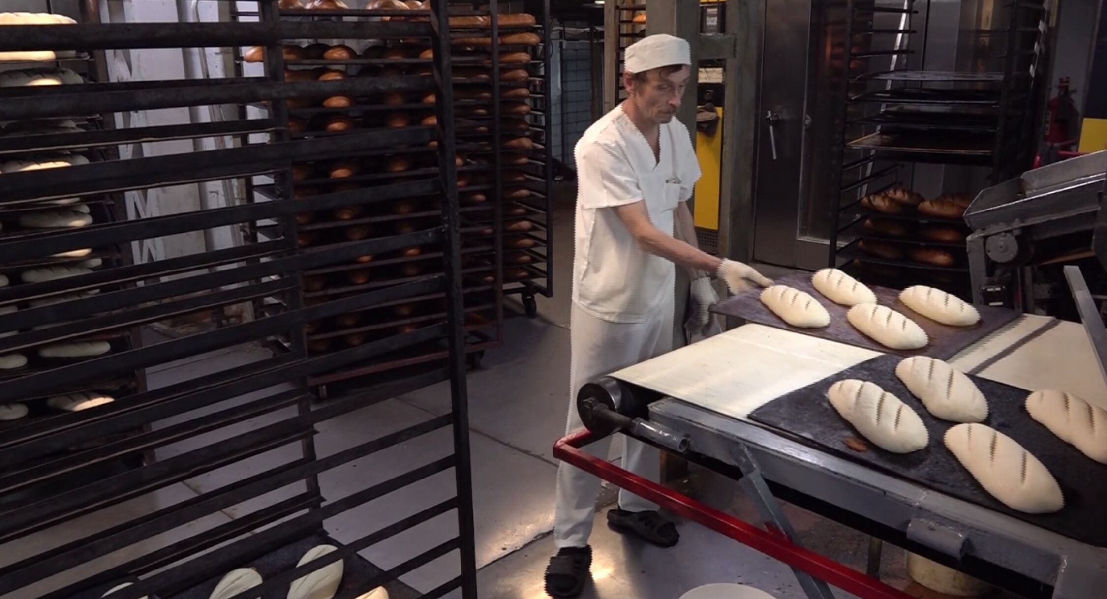 В международный день хлеба ярославский хлебозавод показал секреты своего векового производства