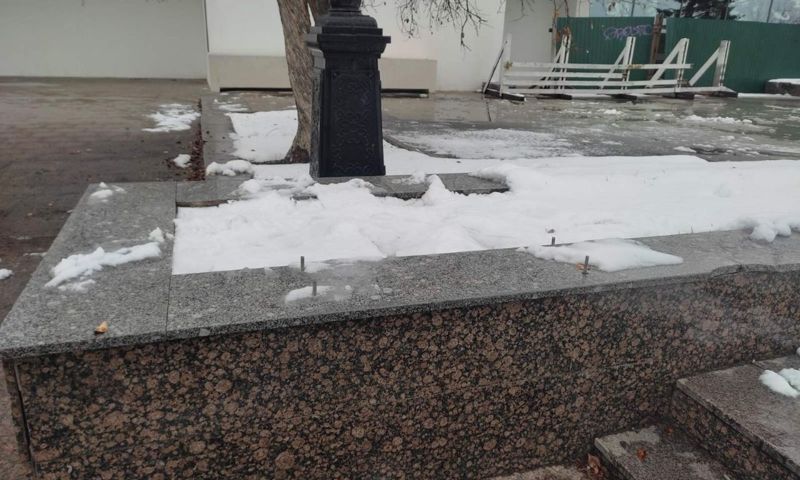 В Ярославле пропала скульптура утки с утятами