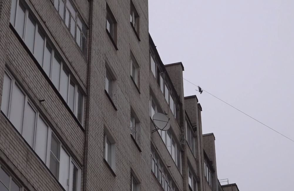 В Ярославле собственники квартир пожаловались на протекающую в их доме крышу