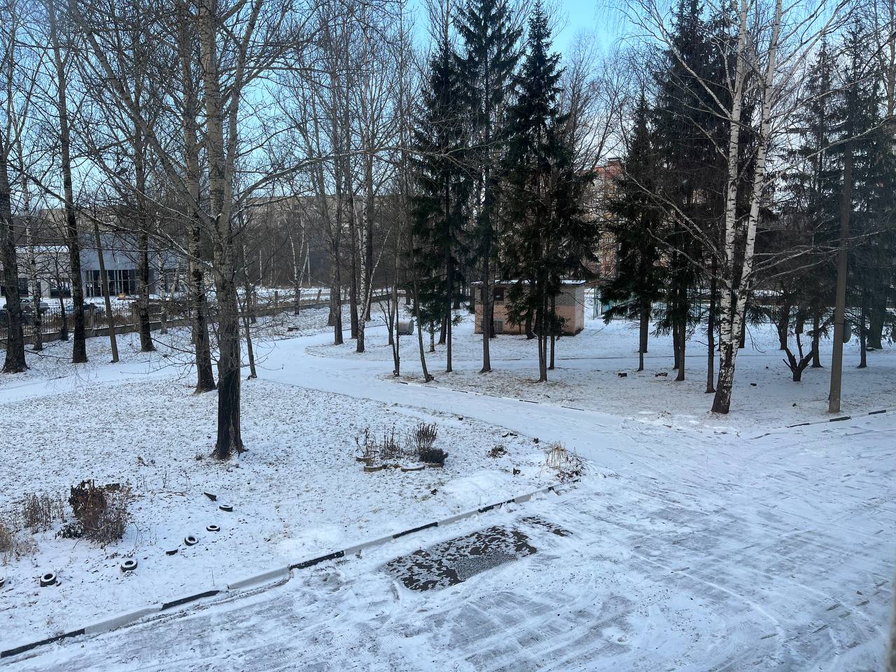 Холодная зимняя погода сохранится в Ярославской области на следующей неделе