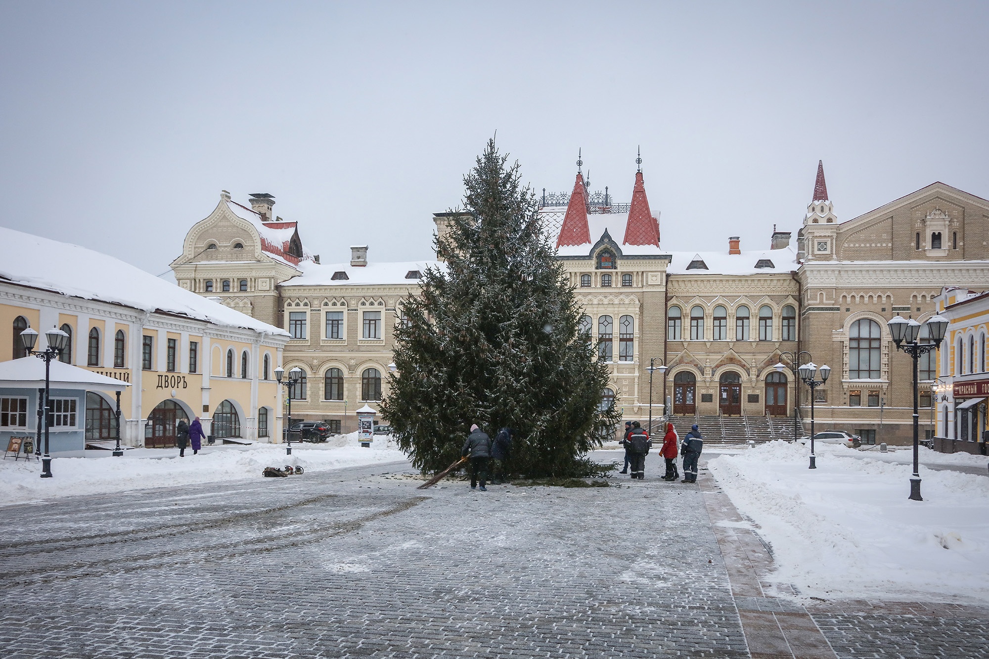 Высота- 15 метров: деревенские жители подарили Рыбинску новогоднюю ель