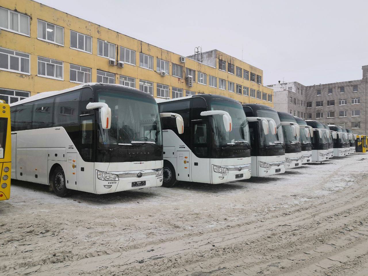 Рассказали, когда в Ярославской области выйдут на маршруты новые автобусы