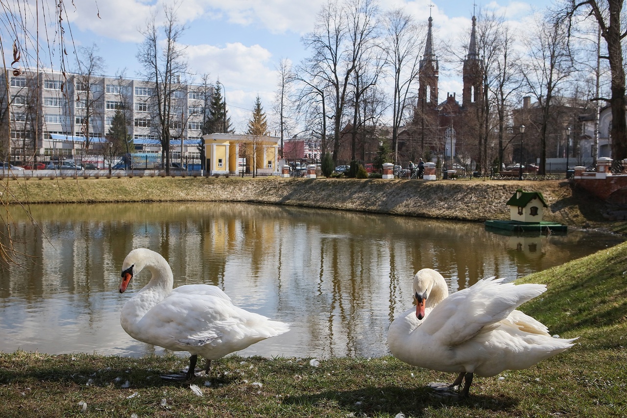 В Рыбинске закрыли Карякинский парк
