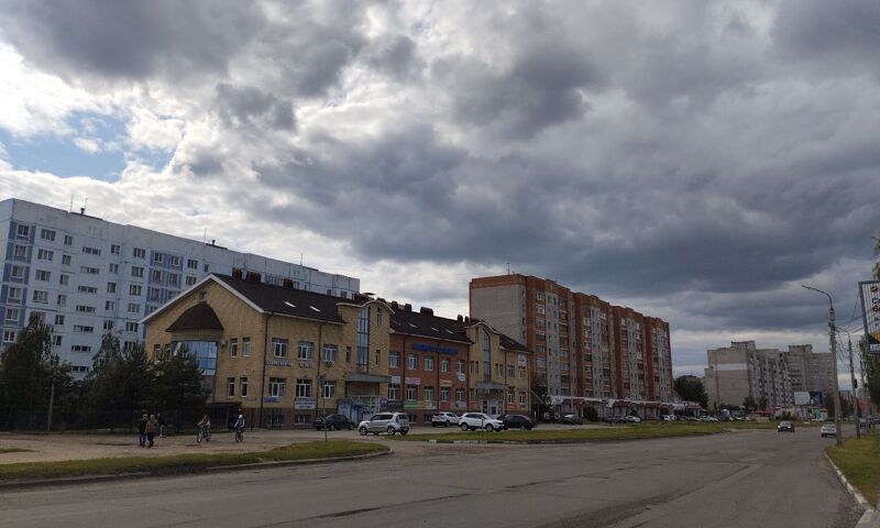 МЧС: в Ярославской области усилится ветер