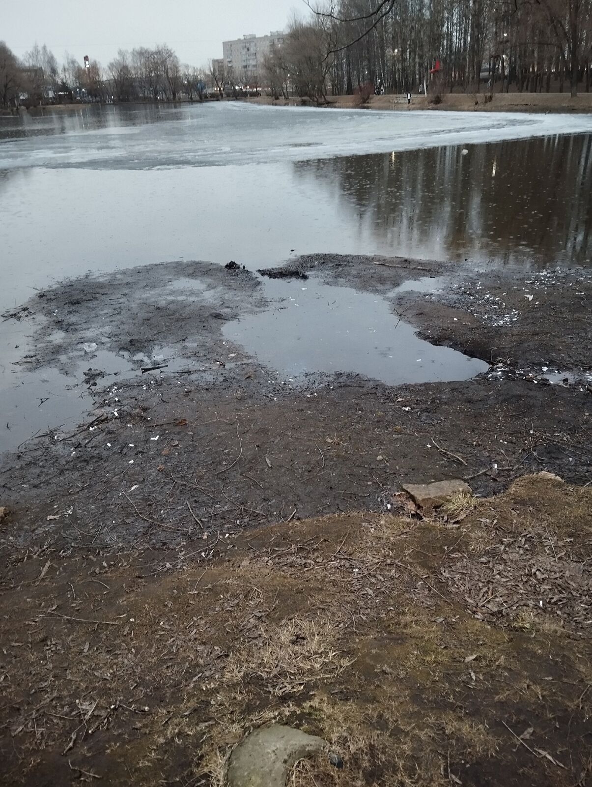 Ярославцы обеспокоены состоянием пруда в парке Нефтяник
