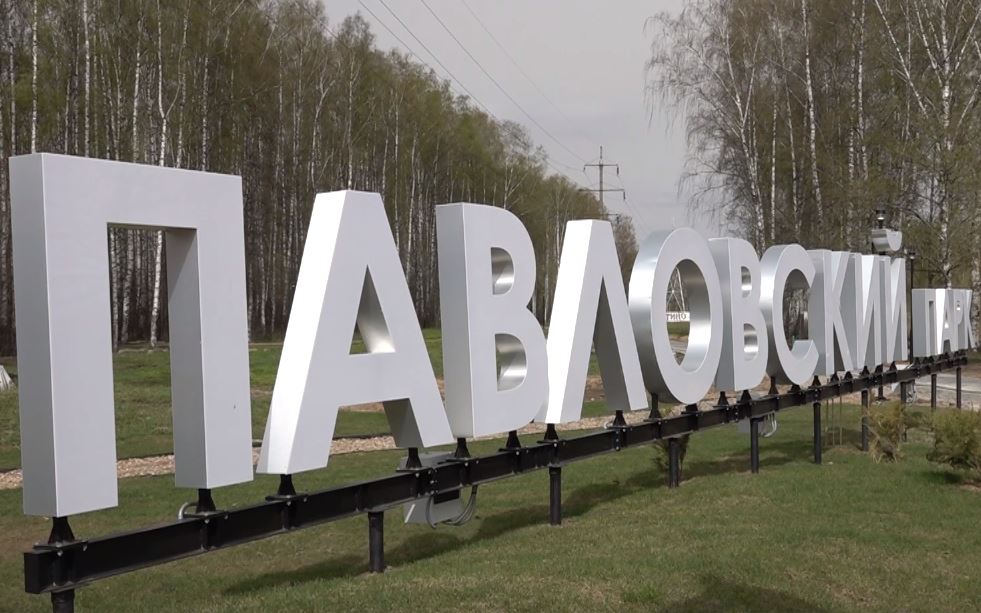Власти объяснили, почему проваливается плитка в Павловской роще в Ярославле