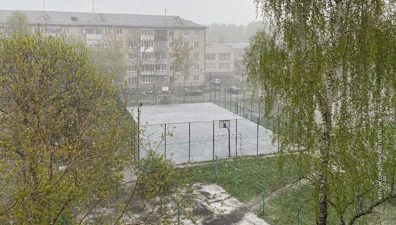 В Ярославской области бушуют майские снегопады