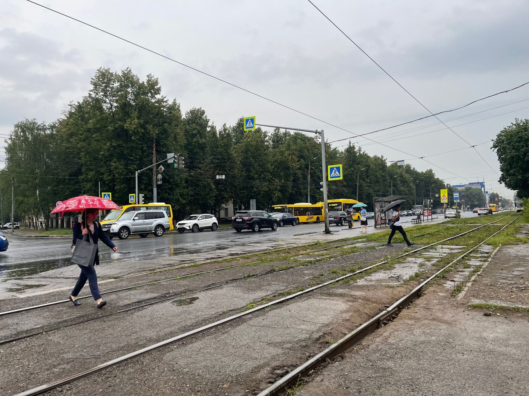 Ярославскую область накрыли ливни и грозы | Первый ярославский телеканал