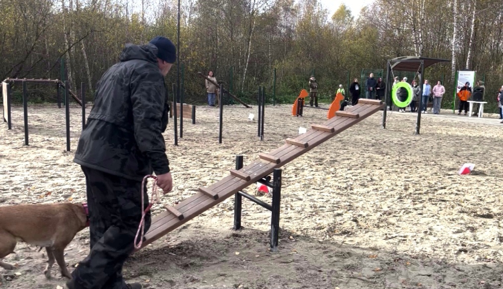 В Некрасовском районе Ярославской области появилась площадка для тренировки и выгула собак