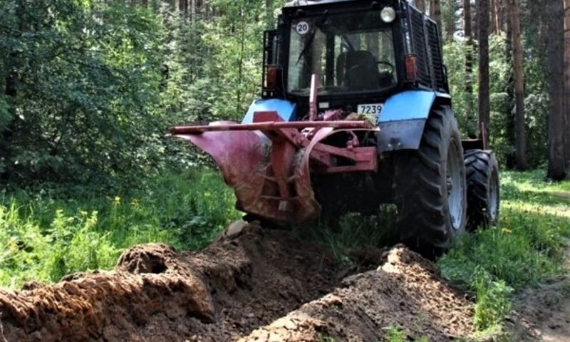 В Ярославской области в этом году стало больше минерализованных полос