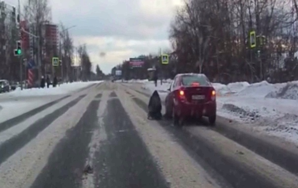 Во Фрунзенском районе Ярославля едва не сбили перебегающую дорогу девушку