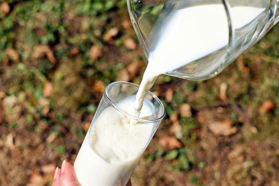 Крупнейшему молочному предприятию региона будут искать нового инвестора